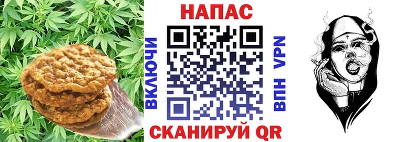купить   Новая Усмань  Canna-Cookies конопля 