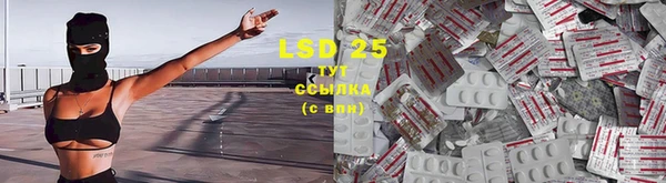 спайс Бородино