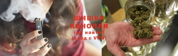 спайс Бородино
