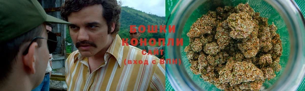 прущий лед Верея