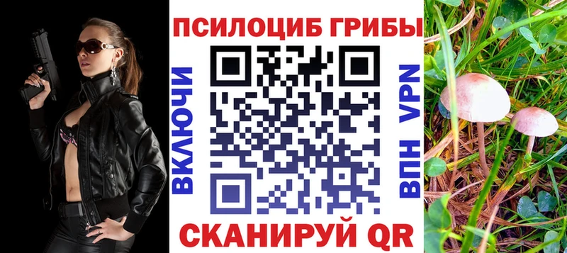 Галлюциногенные грибы Psilocybe  что такое наркотик  Новая Усмань 